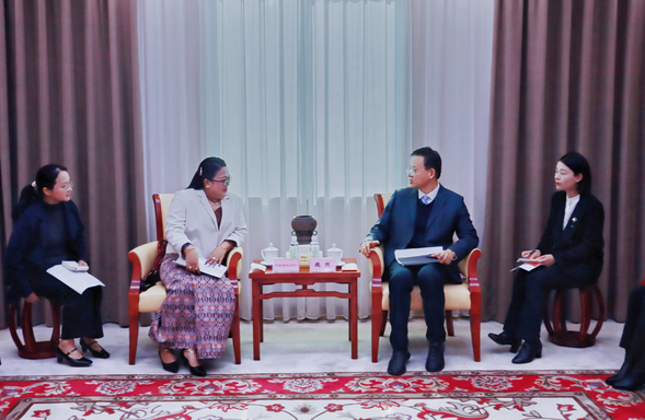 缅甸驻南宁总领事出席“2026广西丝路电商嘉年华”